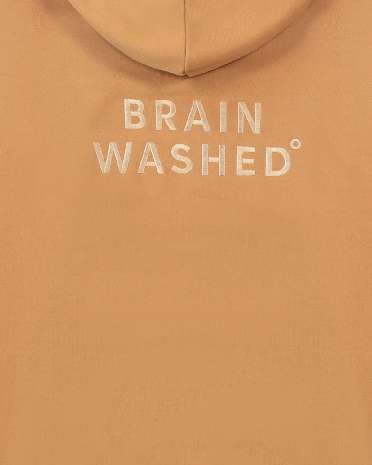 Brain Washed Hoodie